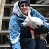 Middleton Pet Services
