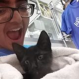 Loving and Reliable Animal Carer