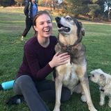 Hardworking and Friendly Dog Sitter in Granada Hills