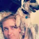 Interested In Canyon Pet Sitter Opportunity