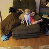Caring House and Pet Sitter for Your Home