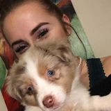 Loving caregiver for every furry friend!