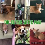 The Critter Sitter Offers