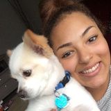 Passionate Animal Caregiver for Your Home