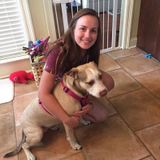 Allen/Plano/McKinney Pet Sitter Seeking Being Hired in Texas