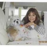 Edmonton Pet Sitting Professional Searching for Work