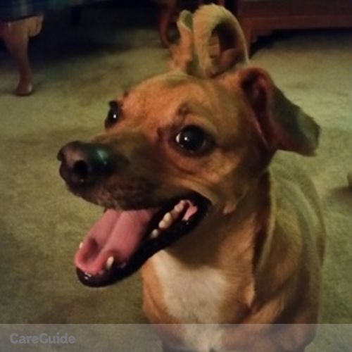 Pet Care Provider Pat K's Profile Picture