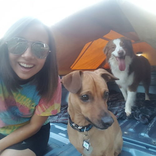 Pet Care Provider Libby W's Profile Picture