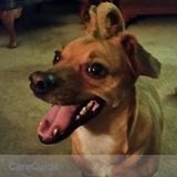 Pat for Pets! Petsitting your fur-babies