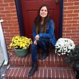 Pet Sitting/Dog Walking Offered in Bristow
