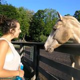Responsible and experienced animal lover!