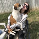 Trustworthy, flexible dog care taker!