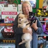 Great Dog Sitting Professional in San Diego