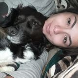 Excellent care provider for pets! Excellent rates!