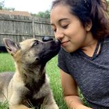 Interested In a Dog Sitter Job in West Chicago, Illinois :) love dogs with all my heart and even have one of my own.