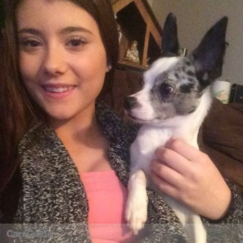 Pet Care Provider Stylanna Engemann's Profile Picture
