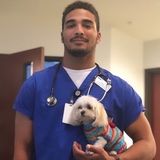 Currently a full time veterinary technician with experience in emergency critical care.