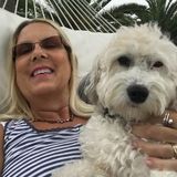 Experienced Pet and House sitter