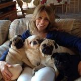 Young Retired HOUSE/PET Sitter
