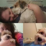 Seeking a Dog Sitting or Walking Professional Job in Winchester