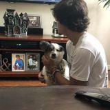 North Richland Hills Pet Carer Seeking Being Hired in Texas