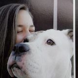 Navarre Dog Sitter Interested In Being Hired in Florida
