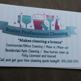 Rozies Professional Cleaning