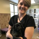 Enthusiastic Animal Care Provider Available