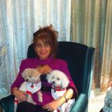 Qualified Pet Care Provider in Laval, Quebec