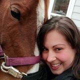 Raleigh Pet Sitter/Dog Walker Interested In Work.
