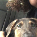 Tobyhanna, Pennsylvania Pet Sitter