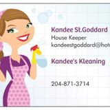 Nelson House Cleaning Provider Seeking Job Opportunities