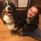 Hi there! Im Colleen, and Im currently a student who had do give up her own dog due to financial issues. I love animals!