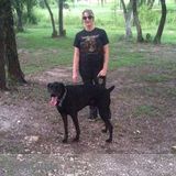 Pet Walking and Pet sitting