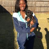 Available For Windermere Pet Sitter Jobs