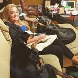Dedicated Dog and Cat Sitter in Royal Oak, Michigan