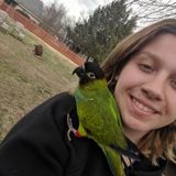 Animal Lover Looking for Animal Jobs