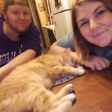 I'm Brittany I love animals I have a lot of my own and I would love to get this job