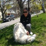 I am looking for a wonderful, happy and loving family to work with for long term.