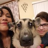 Skilled dog sitter