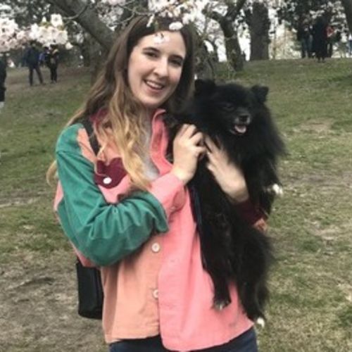 cat sitter etobicoke