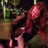 Searching for Toronto Animal Lover, Ontario Jobs