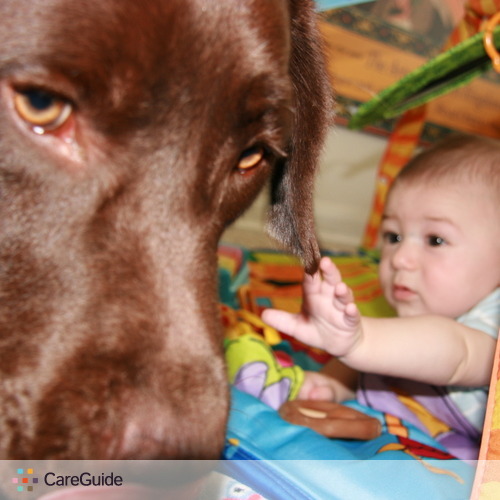 Pet Care Provider L M's Profile Picture