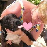 Interviewing For Newtown Square Pet Sitter Opportunity