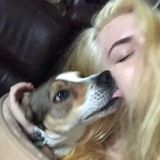 Energetic pet lover here to give your furry friends all the attention they need!