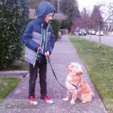 West Seattle & Surrounding daily/overnight petsitter!