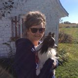 Saint Albert House and Petsitter Searching for Being Hired in Alberta