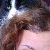 Experienced pet care provider. Dogs, cats, birds, reptiles, amphibians, etc...Feed, exercise/play/walk...Dallas area, PA