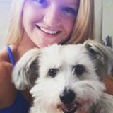 Your Pets Can Stay At Home!