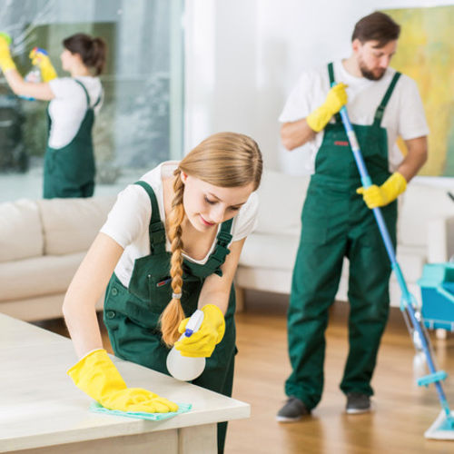 Housekeeper Provider SW Cleaning S's Profile Picture